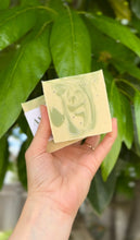 Load image into Gallery viewer, Avocado Scrub Bar