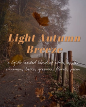 Load image into Gallery viewer, Light Autumn Breeze - a lightly-scented autumn bar