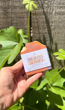 Load image into Gallery viewer, Summer Collection Soap Bundle