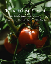 Load image into Gallery viewer, Tomato Leaf & Mint