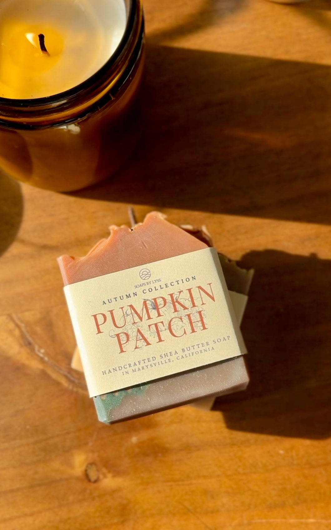 Pumpkin Patch - Autumn Collection