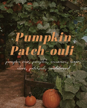 Load image into Gallery viewer, SNEAK PREVIEW 👀 - Pumpkin Patchouli
